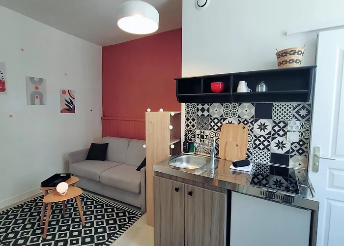Hypercentre Proche Vieux Marche Appartement *